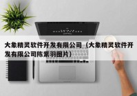 大象精灵软件开发有限公司（大象精灵软件开发有限公司陈紫羽图片）