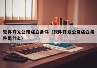 软件开发公司成立条件（软件开发公司成立条件是什么）