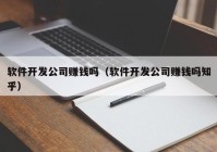 软件开发公司赚钱吗（软件开发公司赚钱吗知乎）