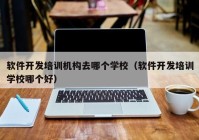 软件开发培训机构去哪个学校（软件开发培训学校哪个好）